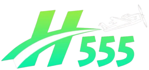 h555com.info Logo